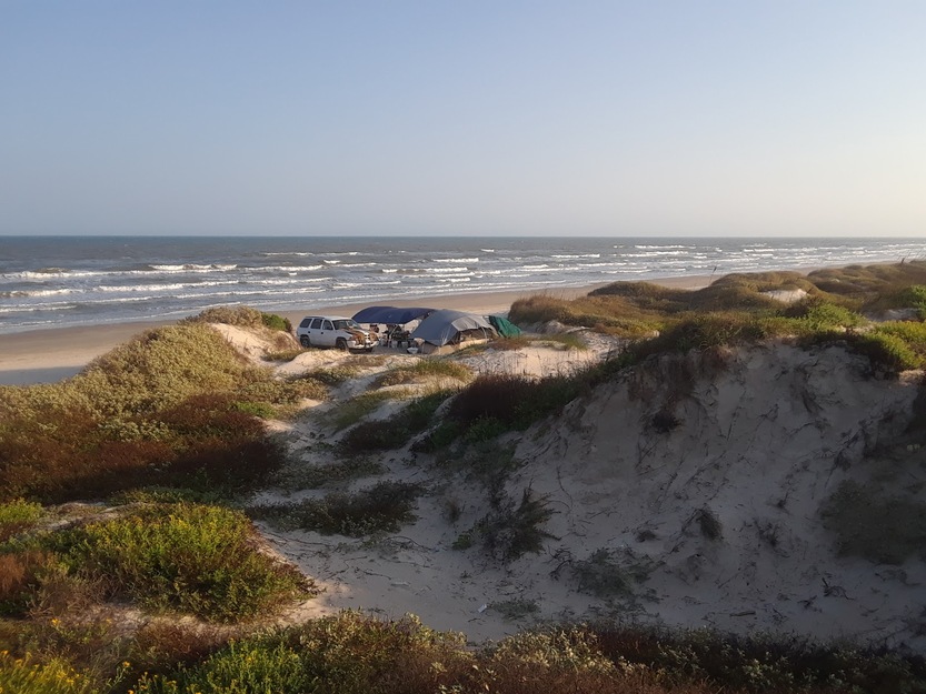 Sand dunes on the seashore