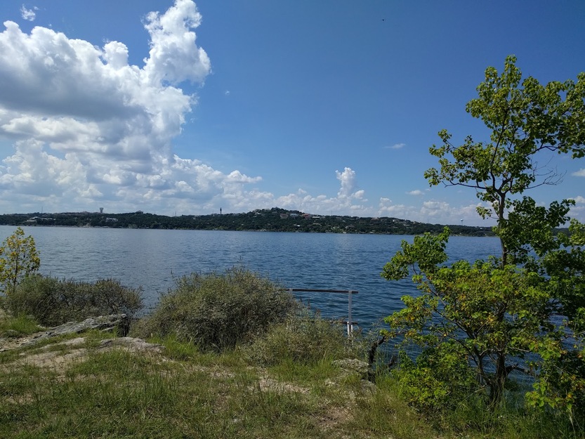 Water and trees