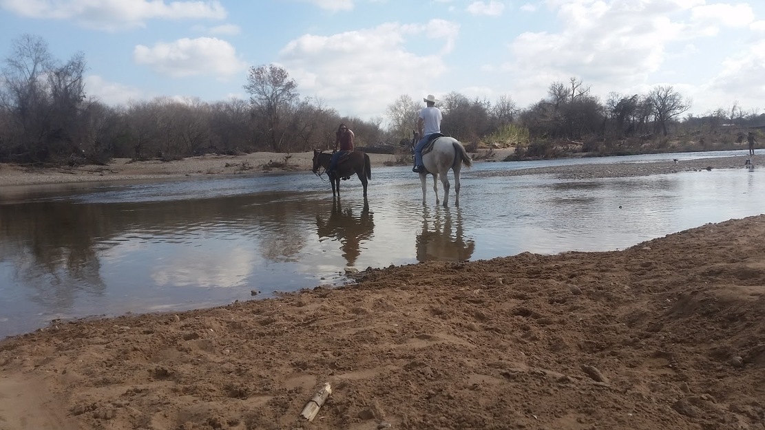 Horse riding
