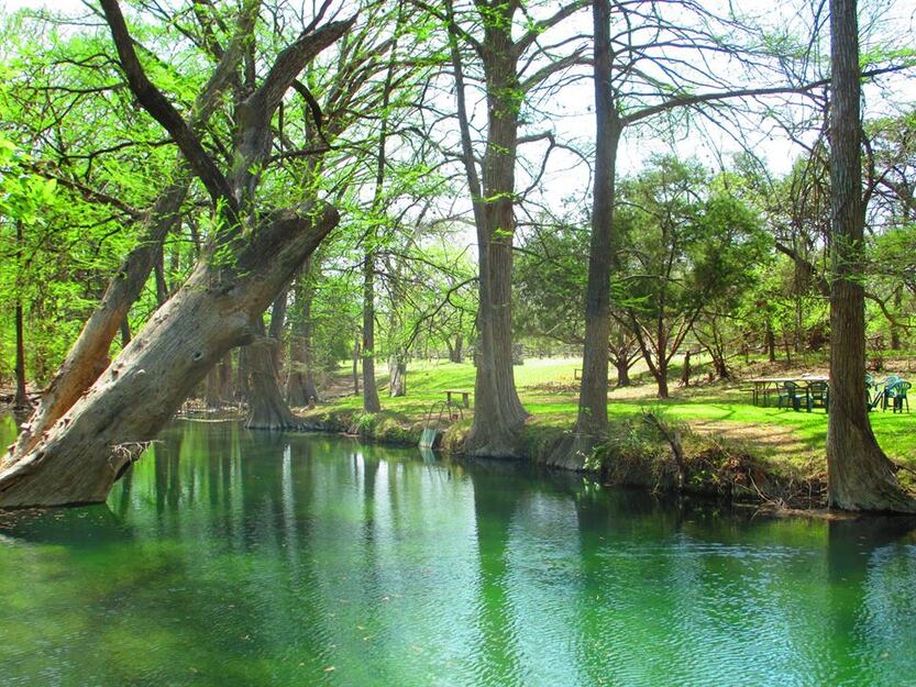 The Cypress Creek