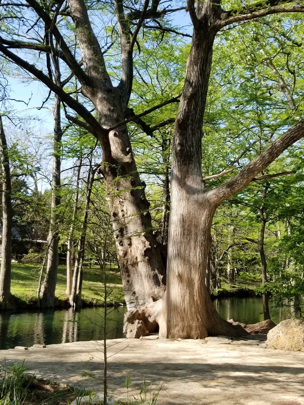 Blue Hole Park Wimberley