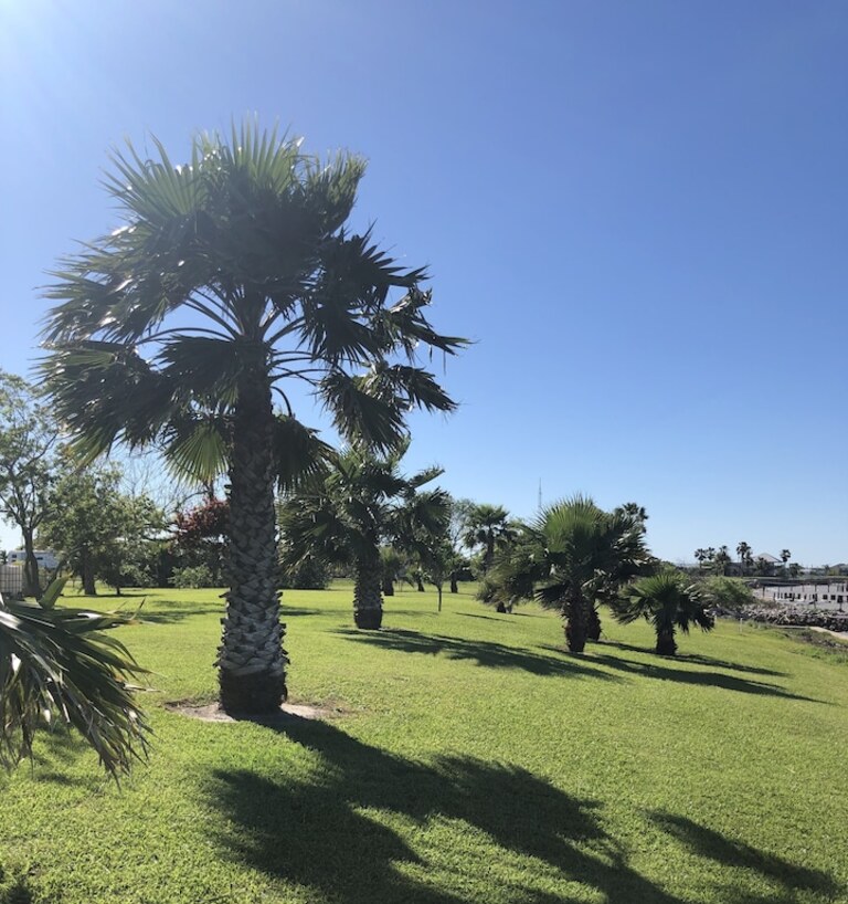 Waterfront Getaway! Relax in this waterfront home with NEW pier on huge lot! photo