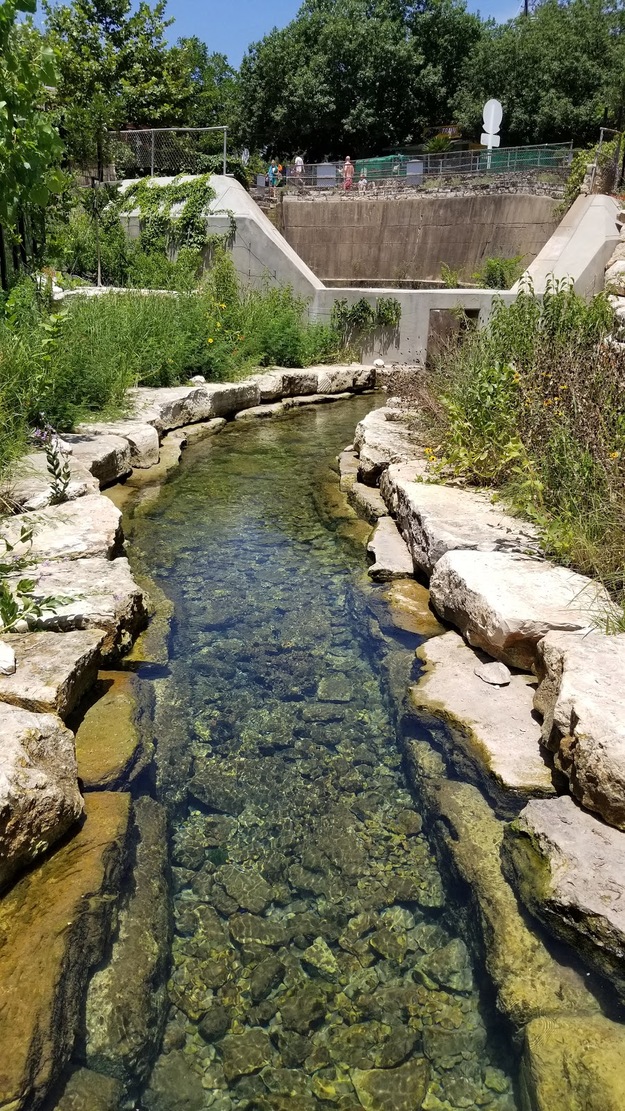 The spring
