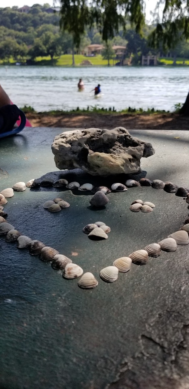 Heart made of shells