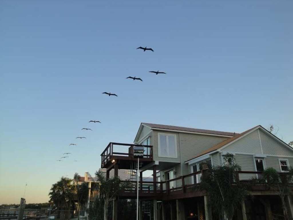 Kemah Seaside Retreat next to Kemah Boardwalk - Last Minute Deal, Call For Rates photo