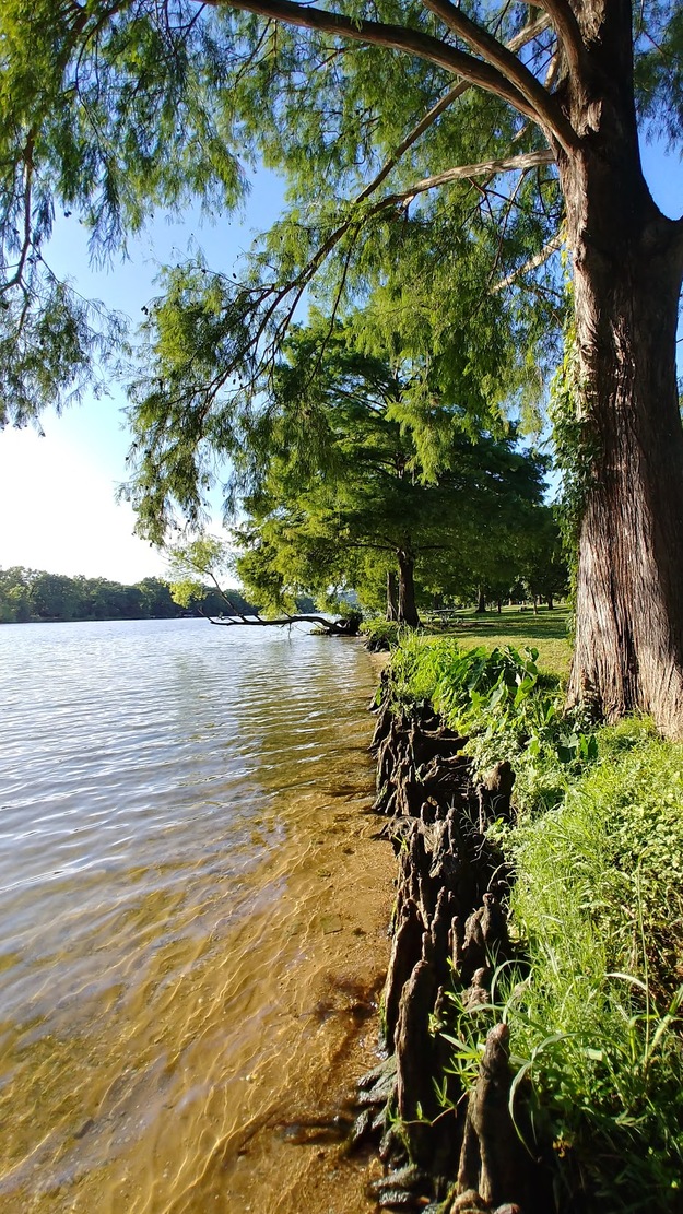 Park