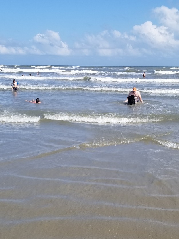 The sea