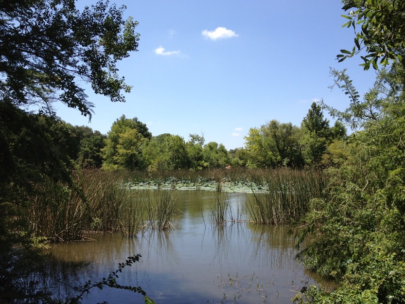 Lake