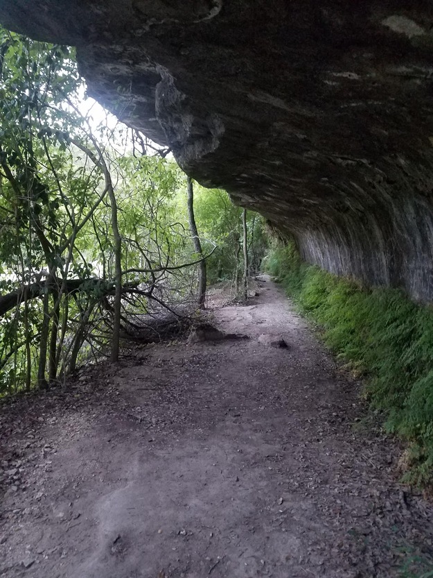 Rocks