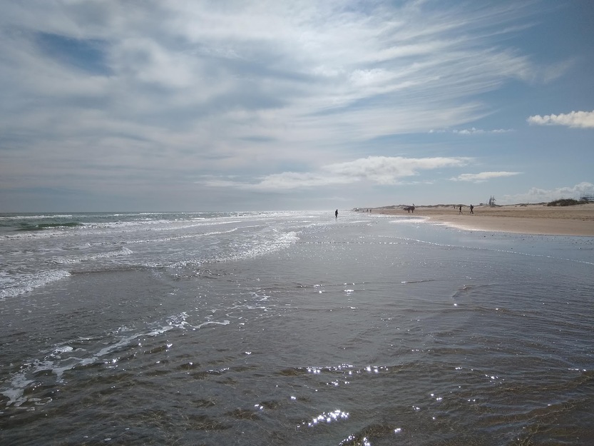 Sea