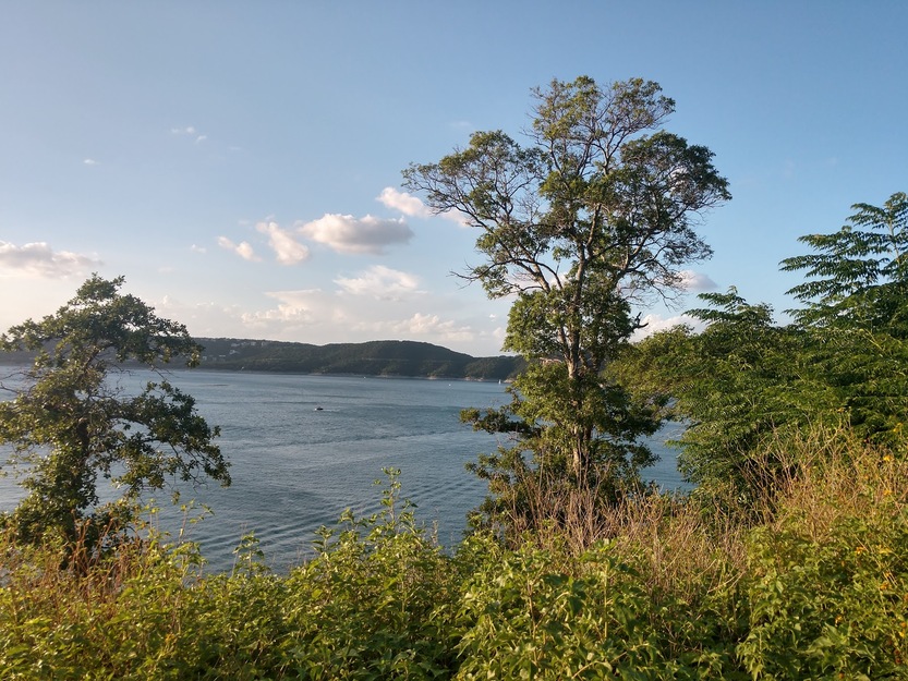 Landscape