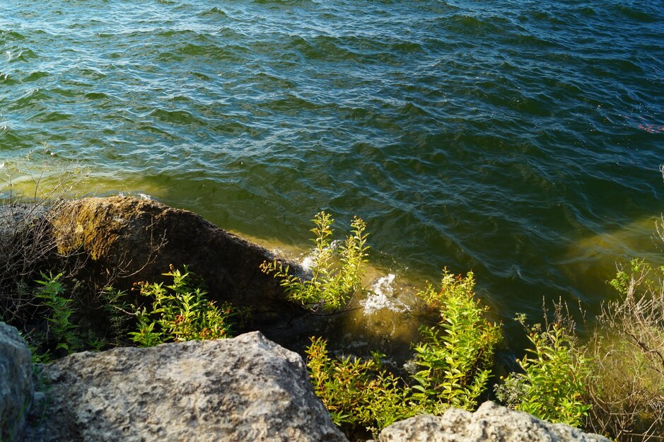 Water