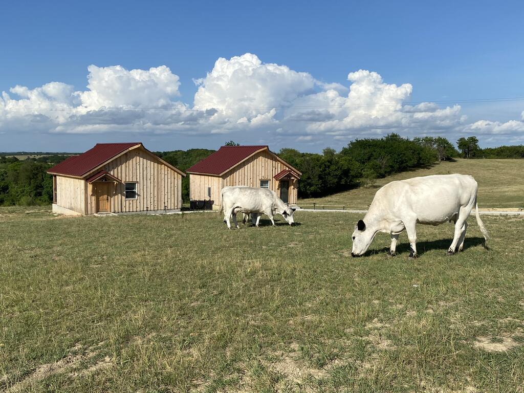 Blue Hills Ranch photo