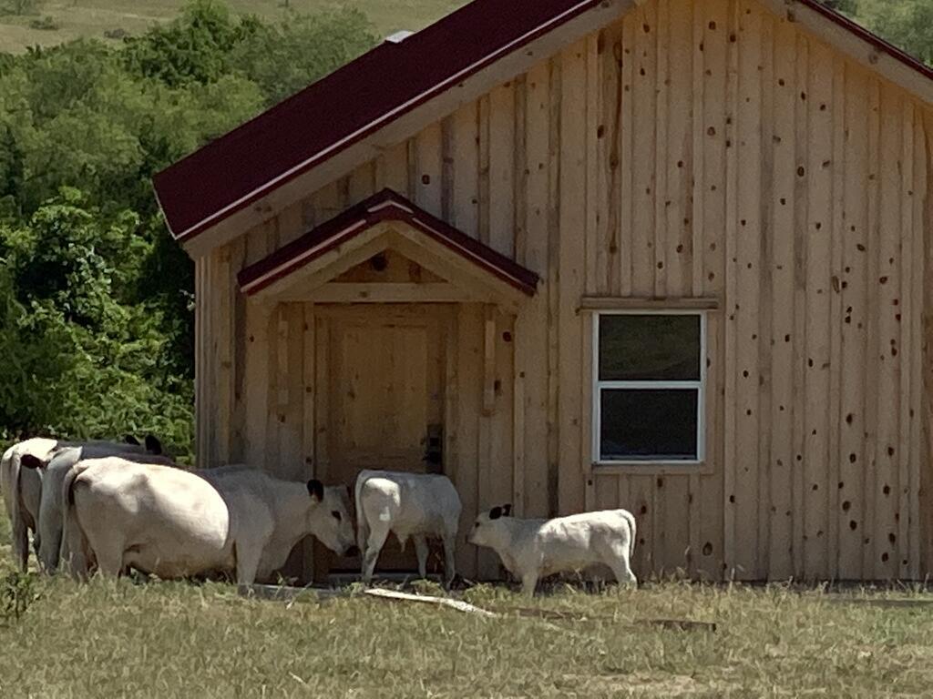 Blue Hills Ranch photo