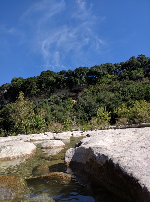 Rocks and trees