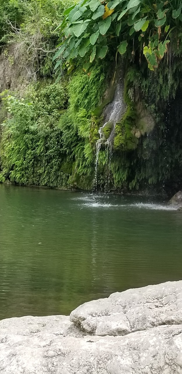 Krause Springs