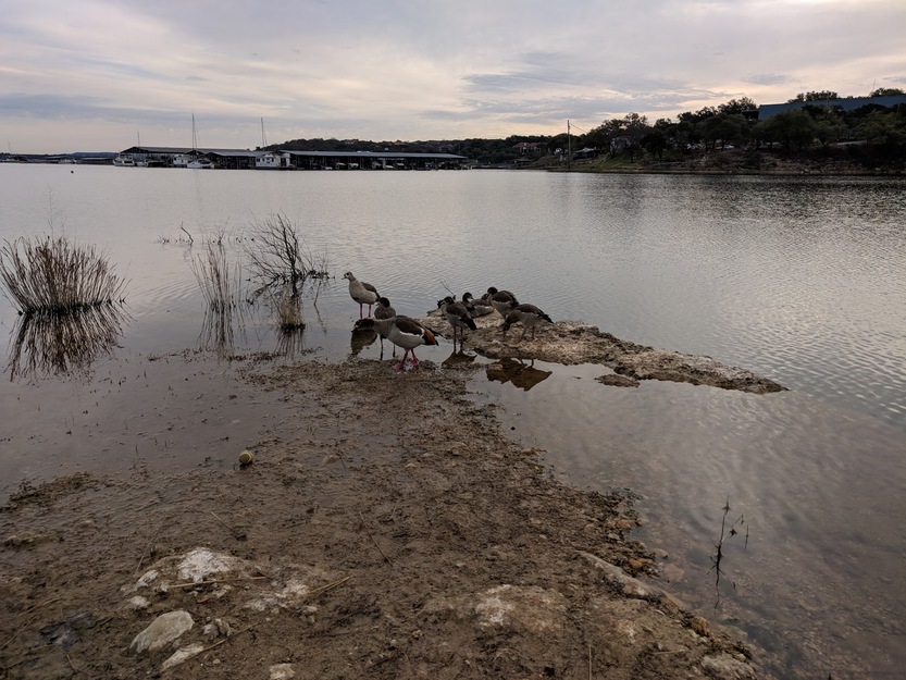 Lake in the evening