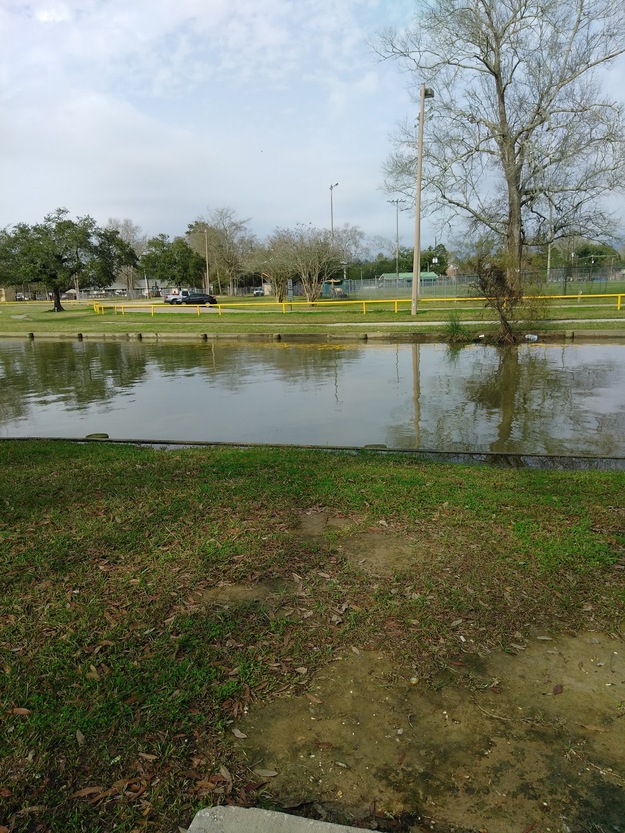 Zemurray Park Beach