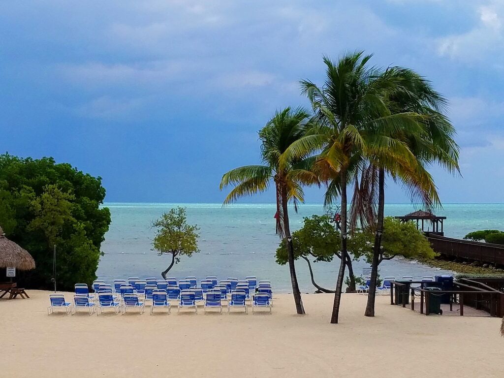 Ocean Front Newly Renovated. Marina, Beach and New Pool photo