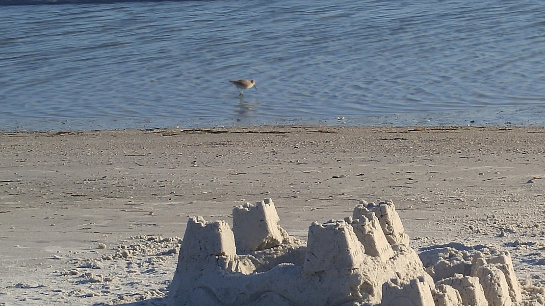 Sandcastle