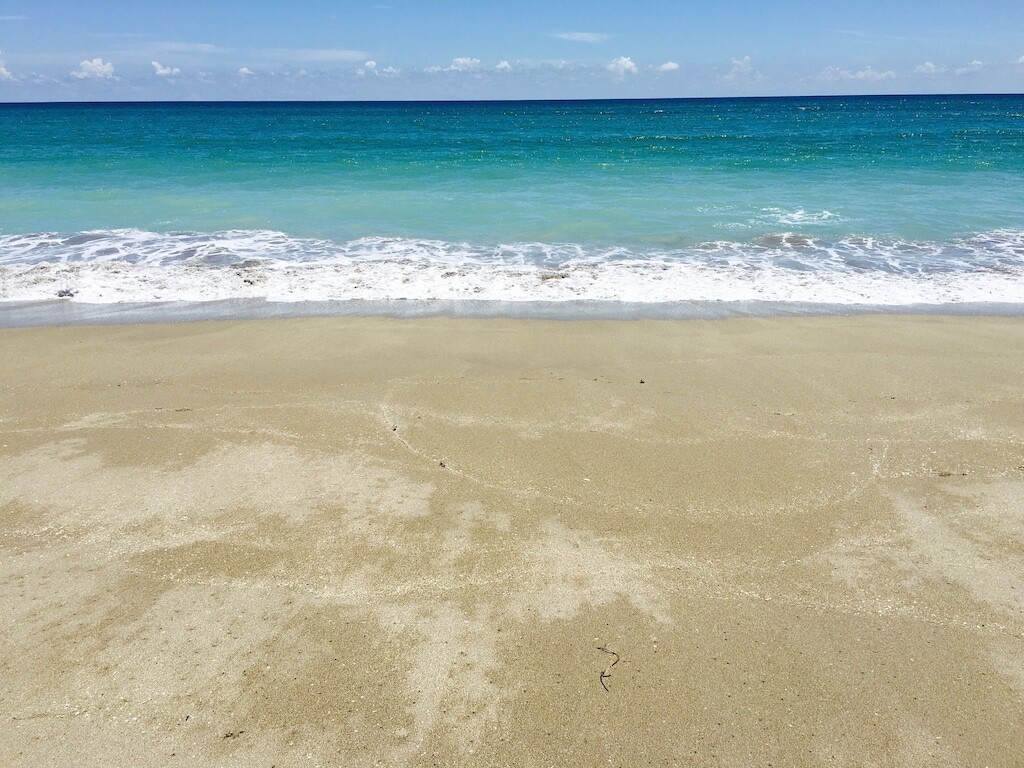 Luxury Ocean Village Beach Condo with 5 Star Reviews with Wifi and all Extras photo