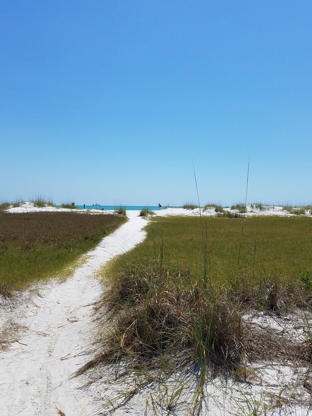 Bean Point Beach