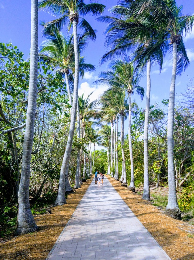 Florida State Park