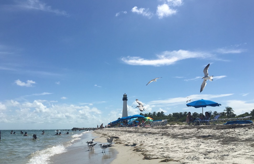 Bill Baggs Cape Florida State Park Beach