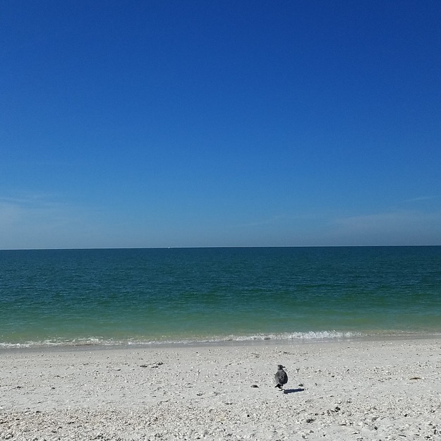 Sea