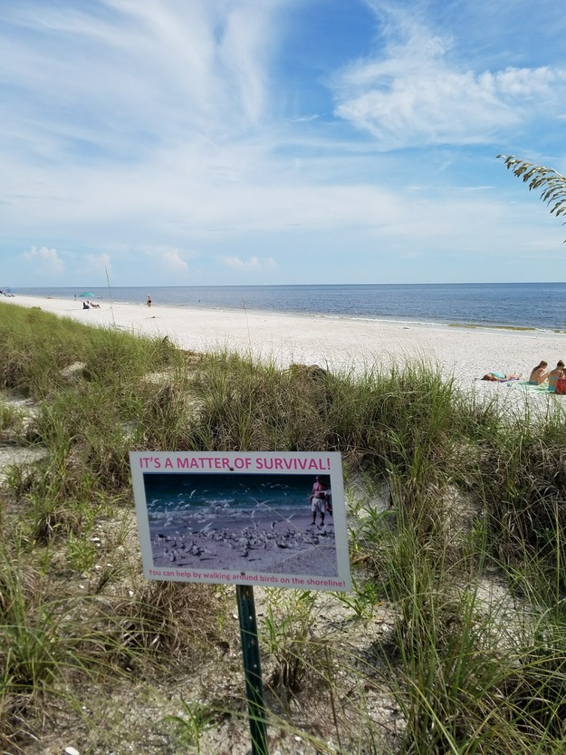 Barefoot Beach shield
