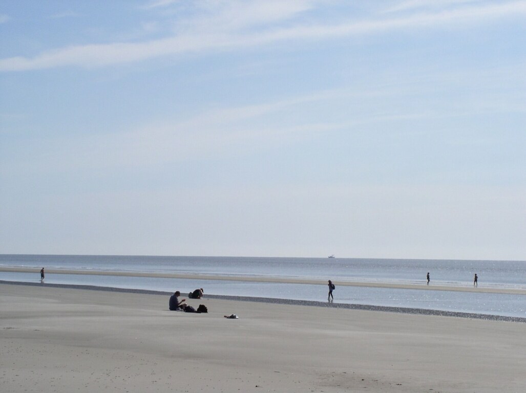 7 Miles of uninhabited beaches. Come to Sapelo Island . photo