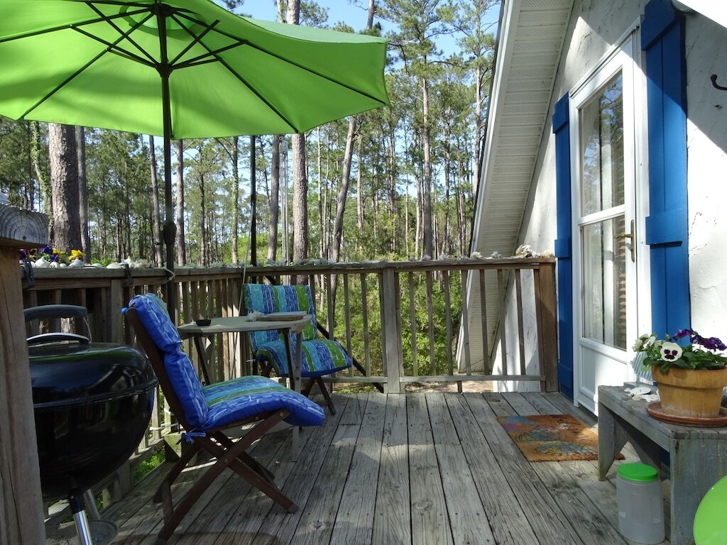 7 Miles of uninhabited beaches. Come to Sapelo Island . photo