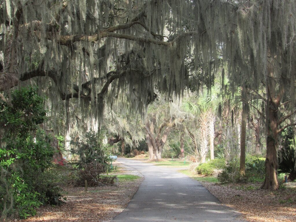 Darien, GA Deepwater with Dock, Kayaks, Canoe, Bikes & Screened in porch! photo
