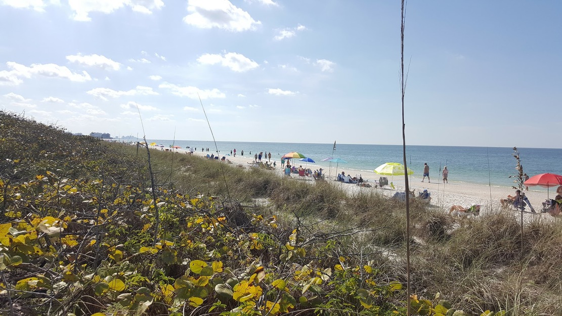 Grassy shore