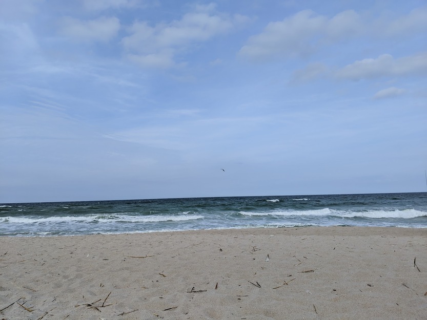 Nudist beach