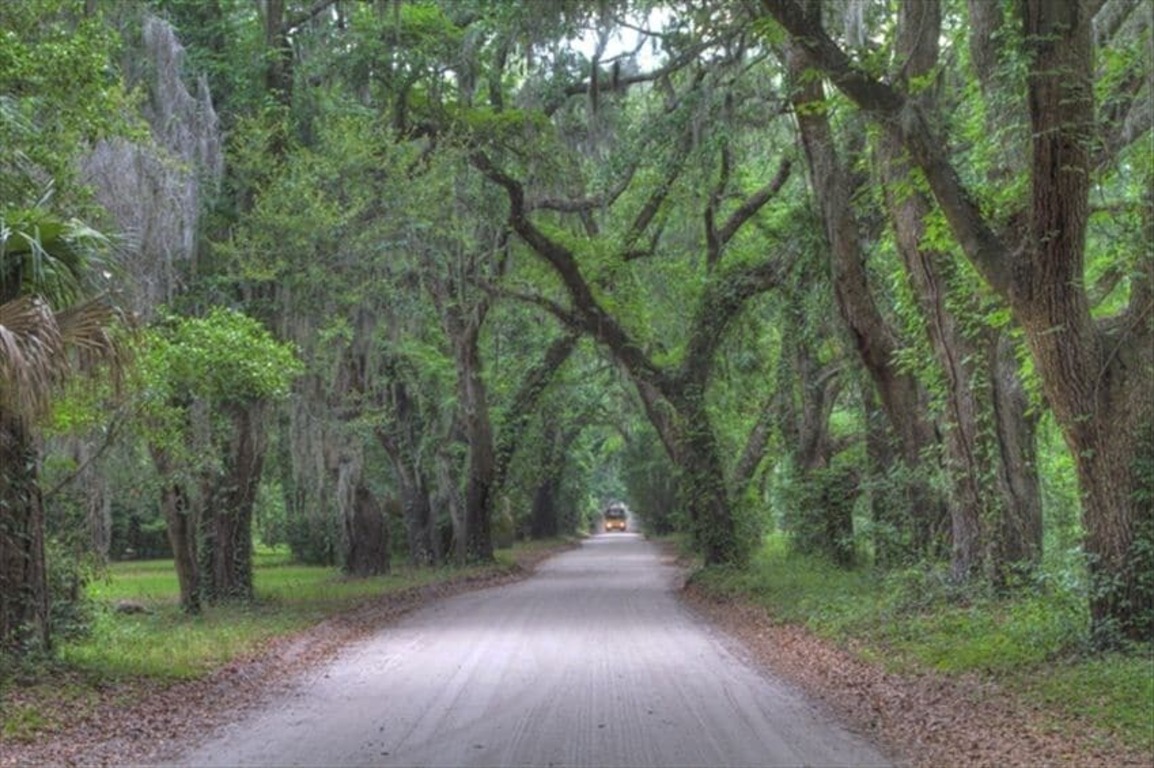 Gorgeous Beachfront Town & Country Home on Saint Helena Sound photo