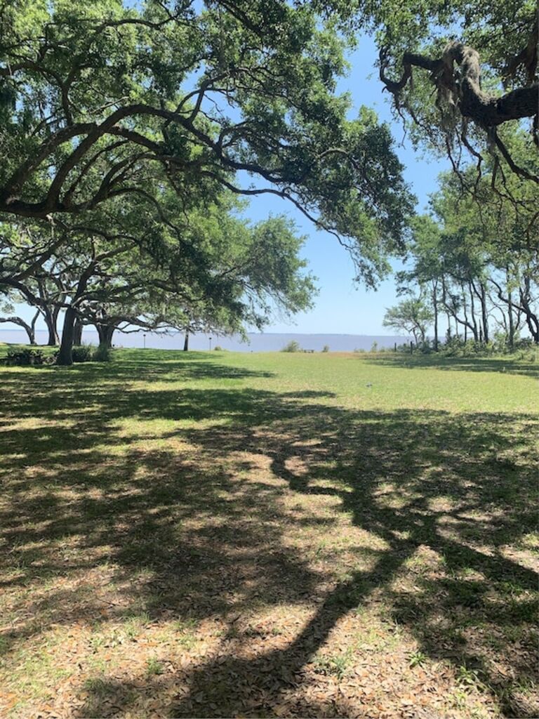 Gorgeous Beachfront Town & Country Home on Saint Helena Sound photo