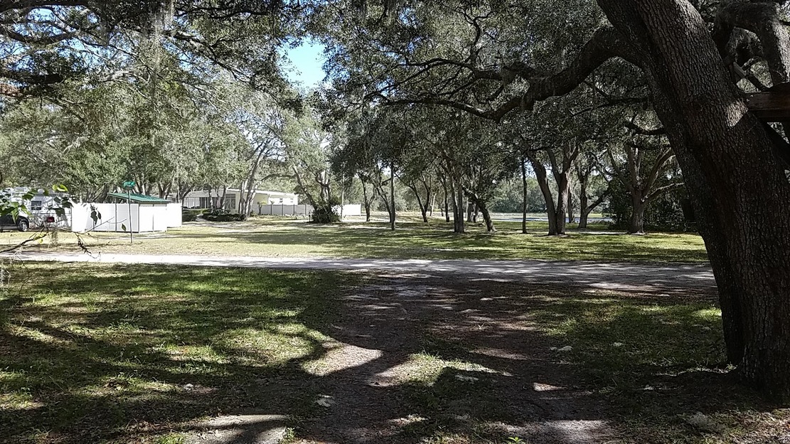 Park