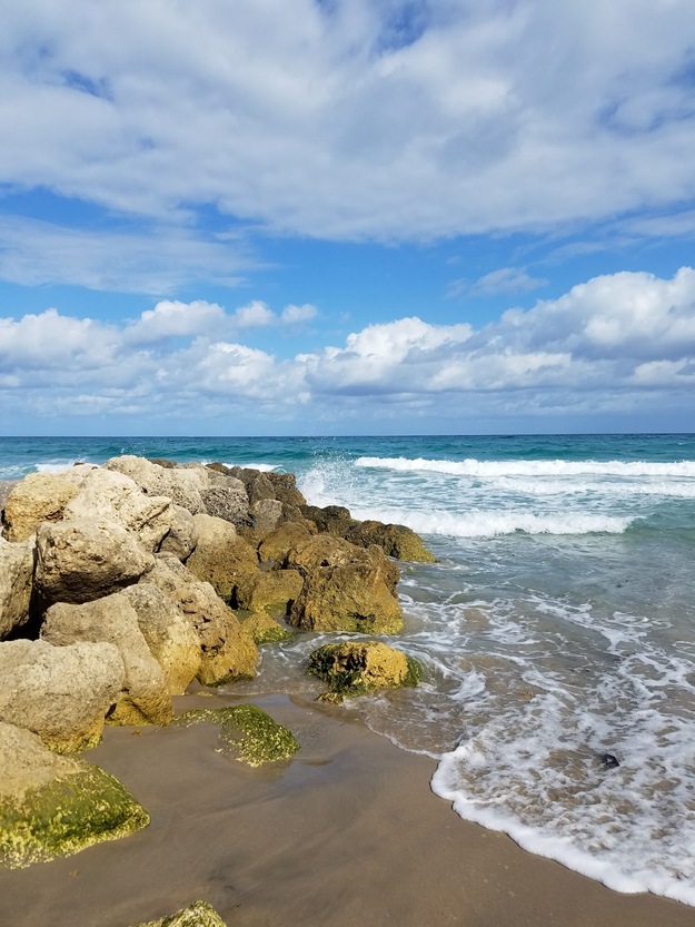 Rocks on the beach