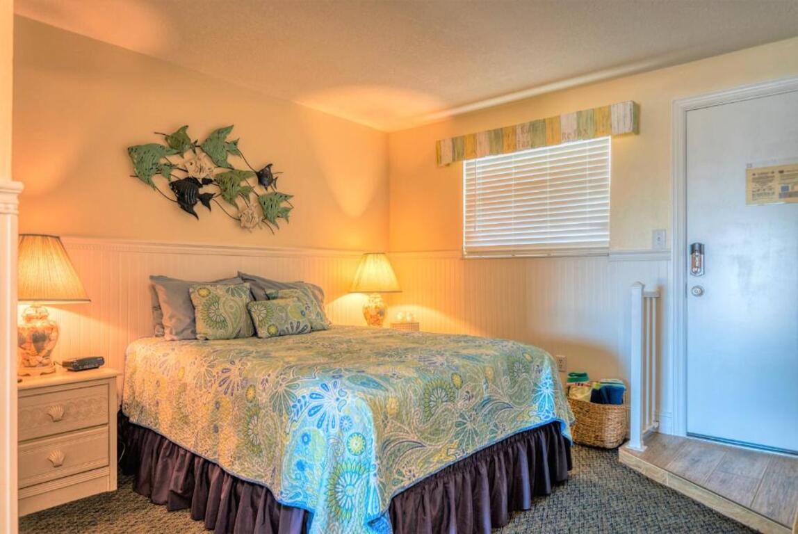 Tipsy Turtle oceanfront 1 bedroom condo photo
