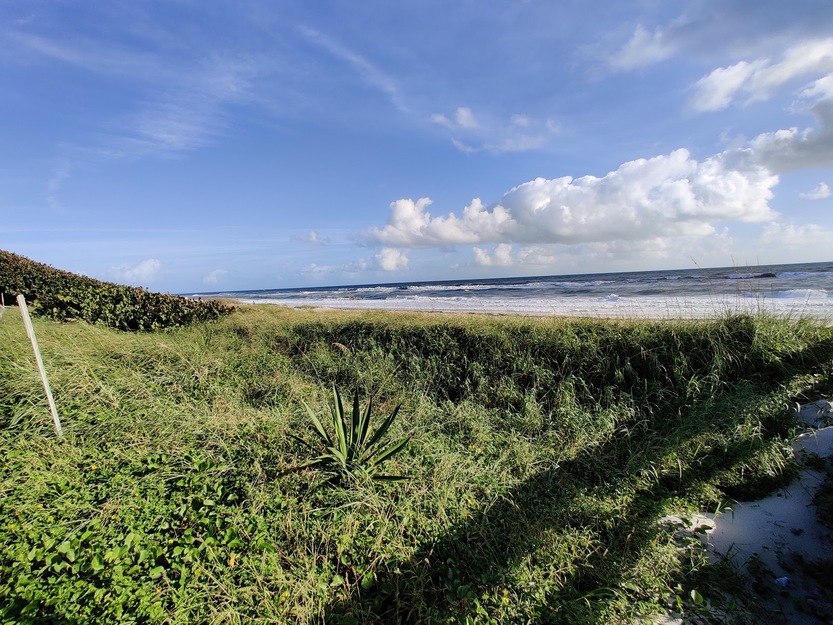 Sunny beach