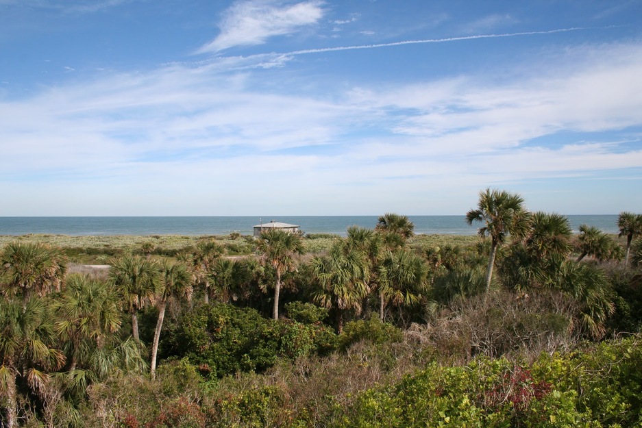 Canaveral National Seashore