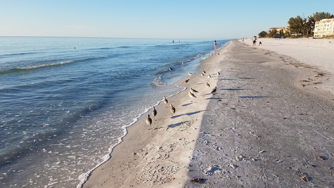Indian Shores Beach Access
