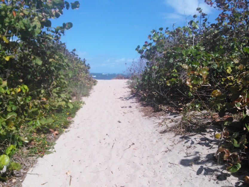 Sandy path