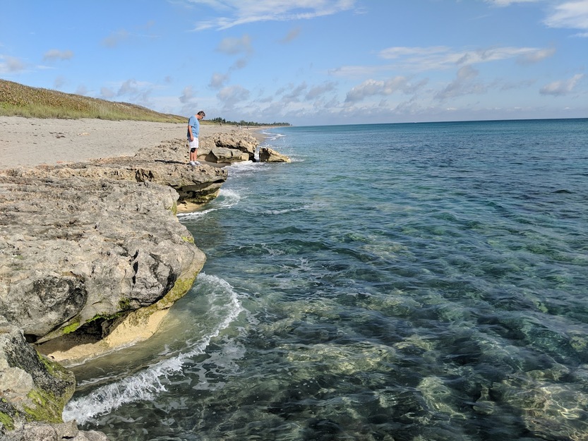 Rocky seashore