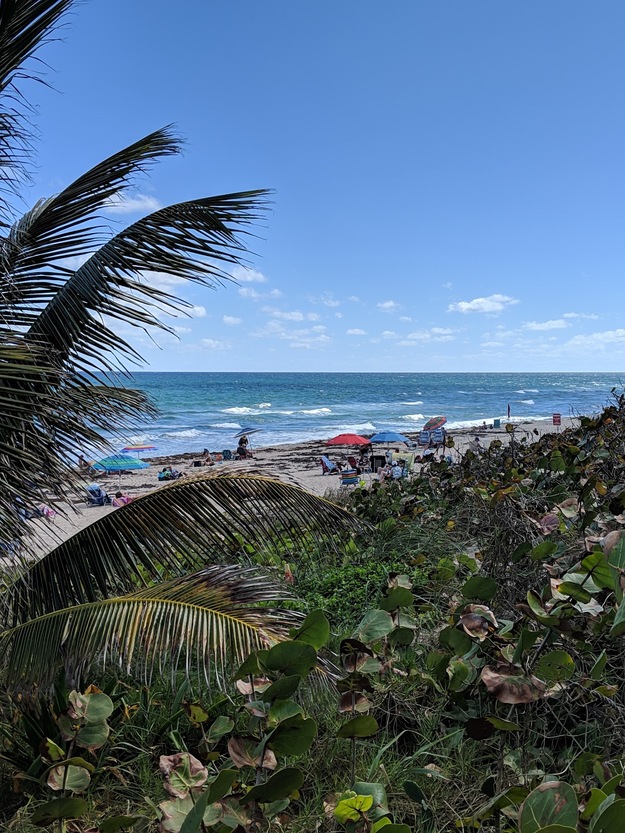 Sea view