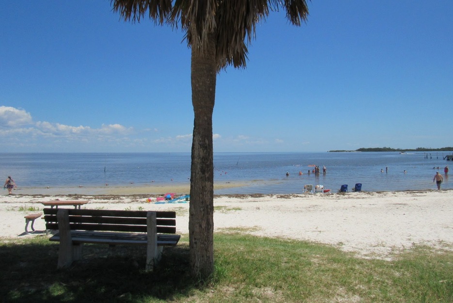 Bench on Lil Shark Park Beach