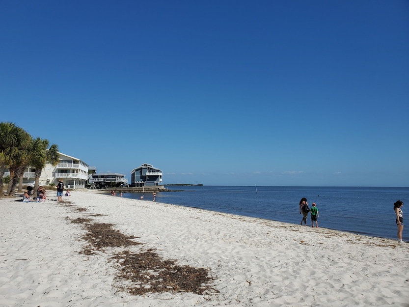Lil Shark Park Beach FL