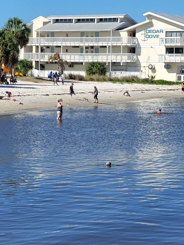 Lil Shark Park Beach Florida