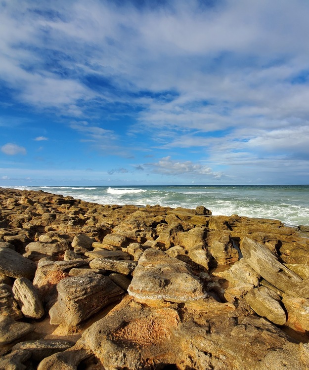 Rocks on Washington Oaks Gardens State Park Beach